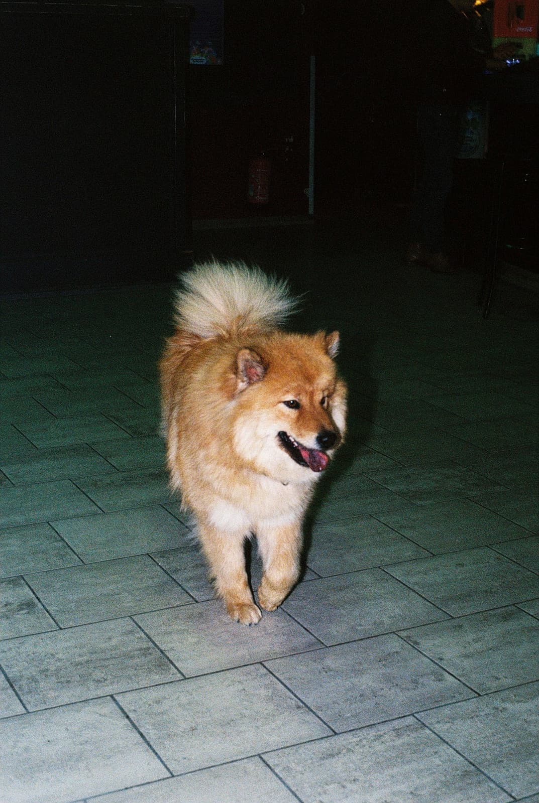 Image 7