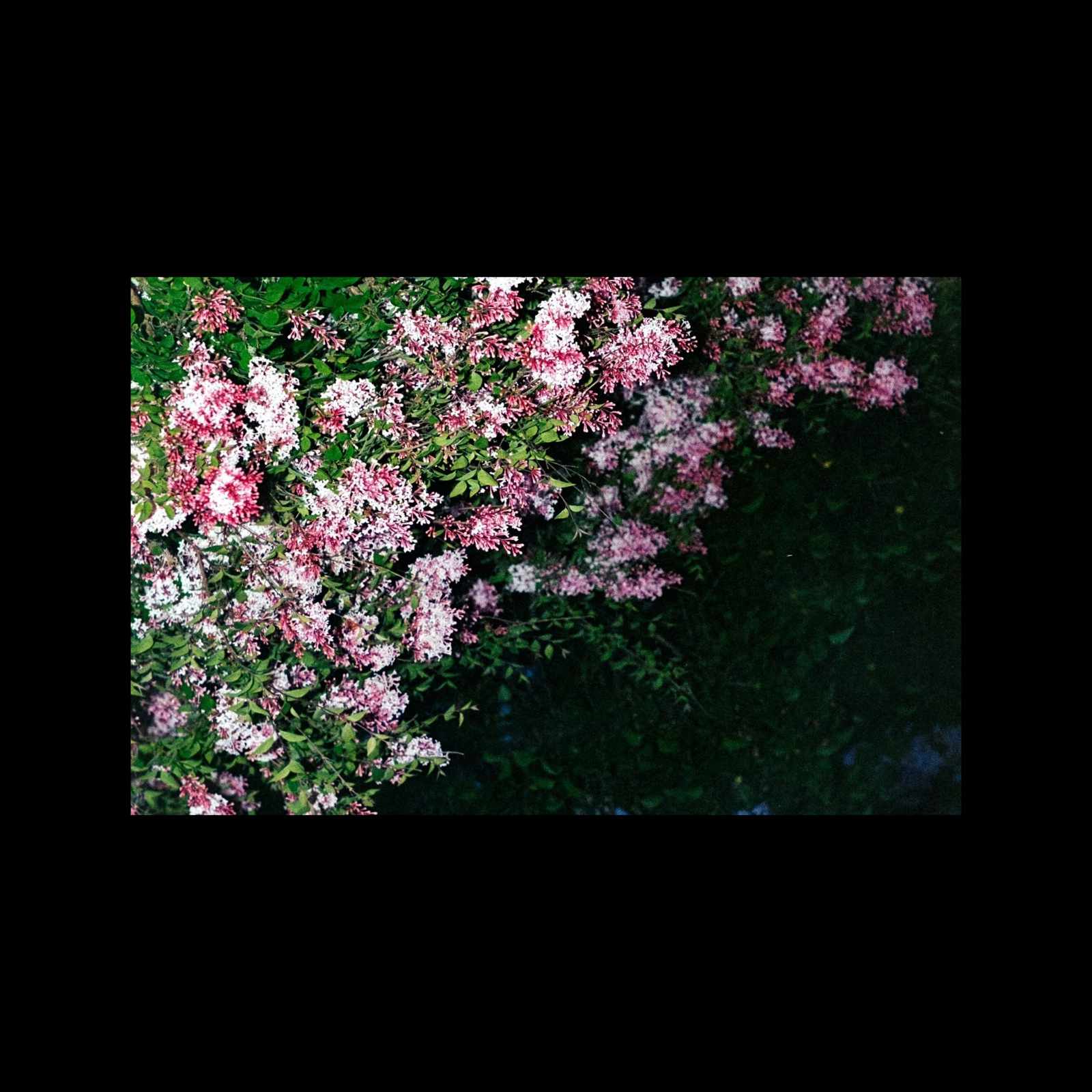 Echoes from the Garden [EP]-cover
